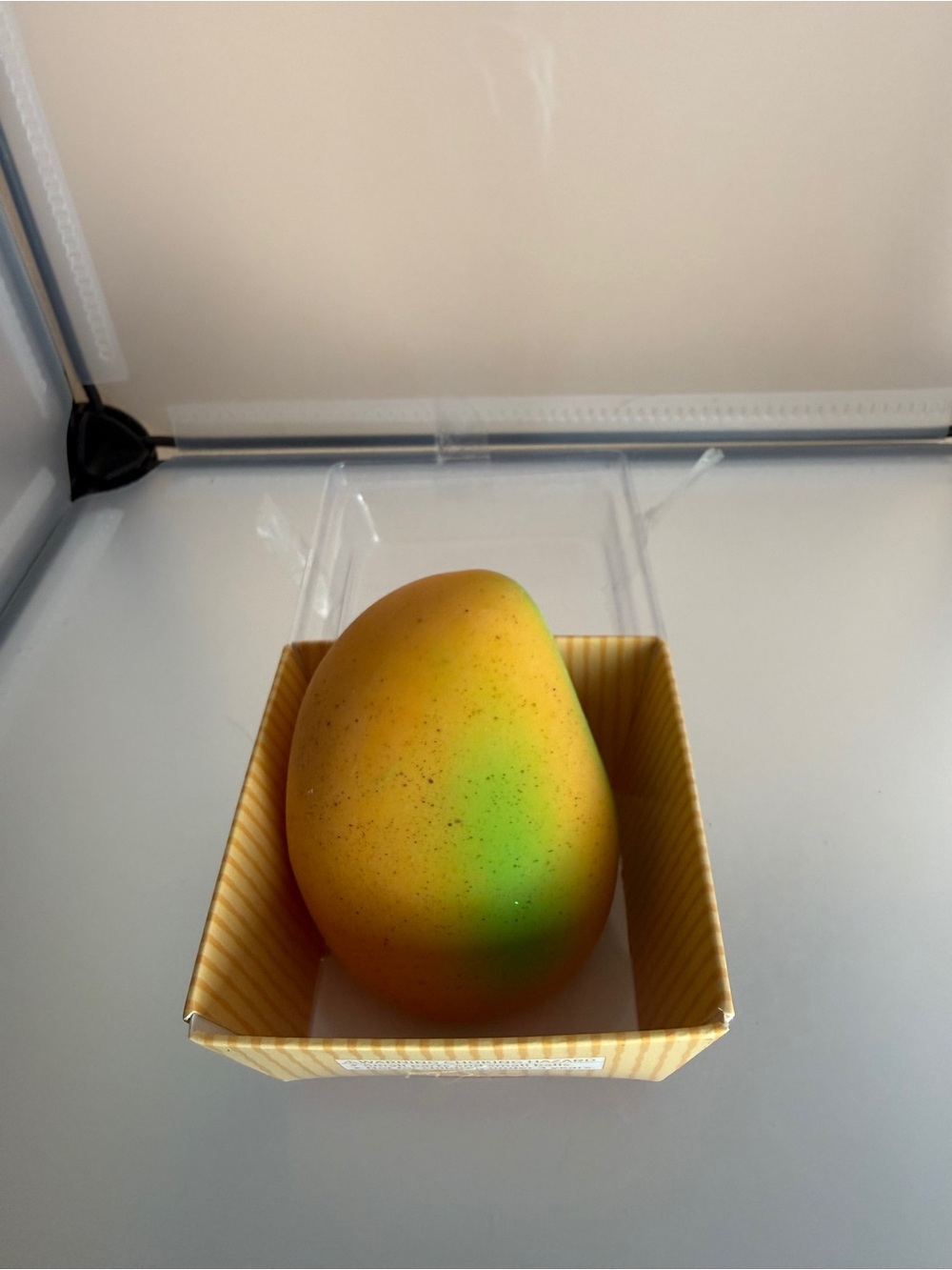 Realistic Mango Squishy 🥭 Super Solid Slow Rising